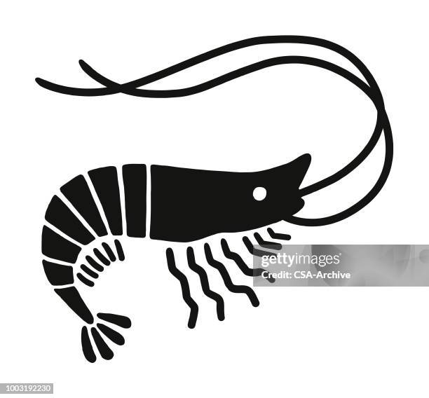 illustrazioni stock, clip art, cartoni animati e icone di tendenza di gamberetto - shrimp animal