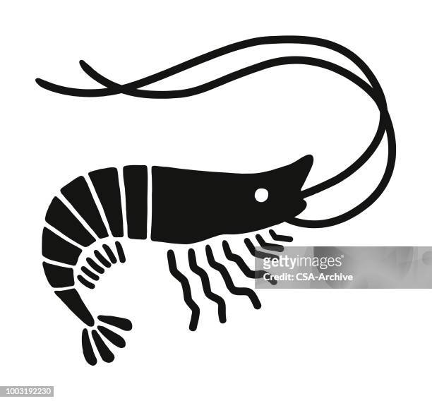 shrimp - crustacean stock illustrations