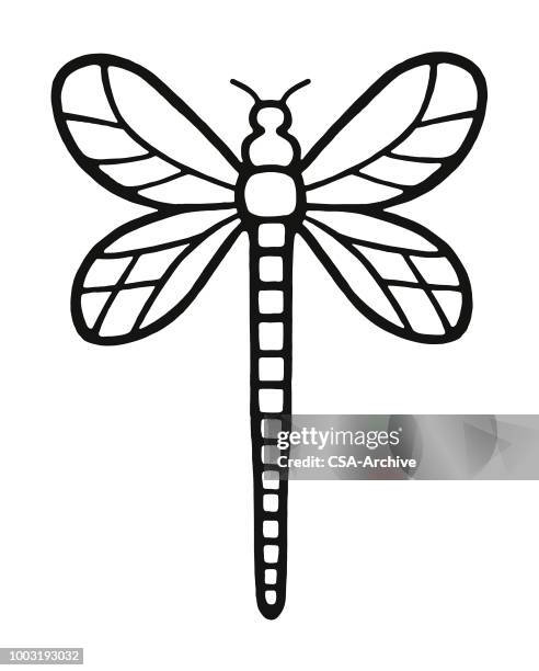 dragonfly - odonata stock illustrations
