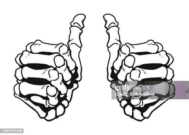 ilustraciones, imágenes clip art, dibujos animados e iconos de stock de doble enhorabuena - human bone