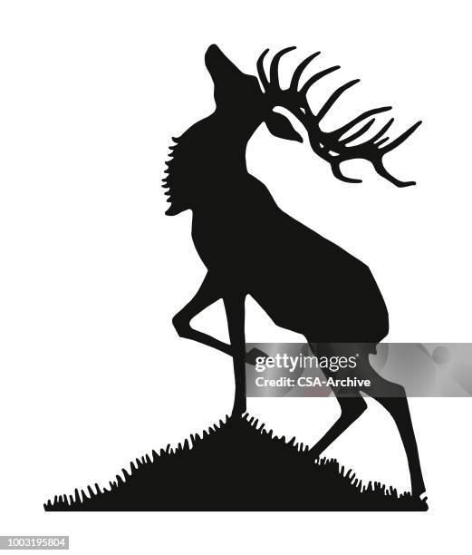 ilustrações, clipart, desenhos animados e ícones de elk - caribu cervo