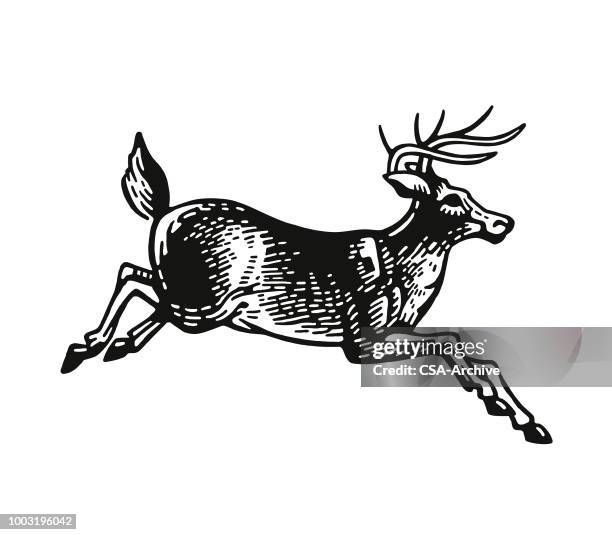 stockillustraties, clipart, cartoons en iconen met herten - hertenbok