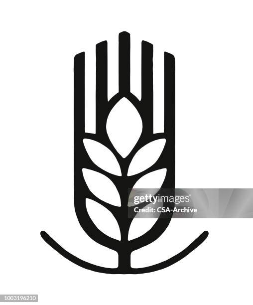 wheat - agriculture logo stock illustrations