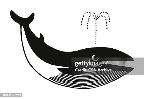 鯨魚 鯨魚