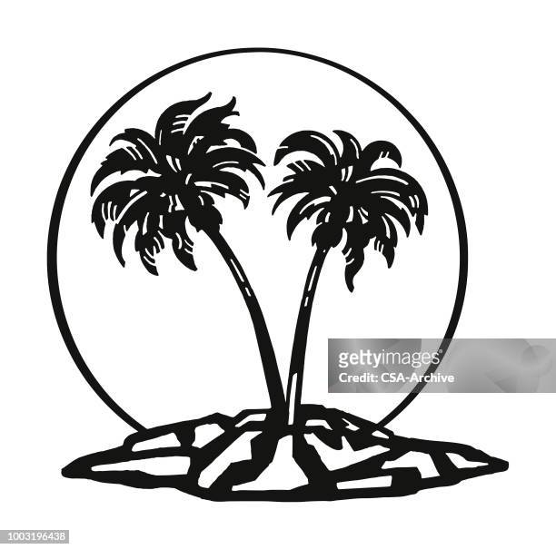 bildbanksillustrationer, clip art samt tecknat material och ikoner med palm tree island - södra stilla havet