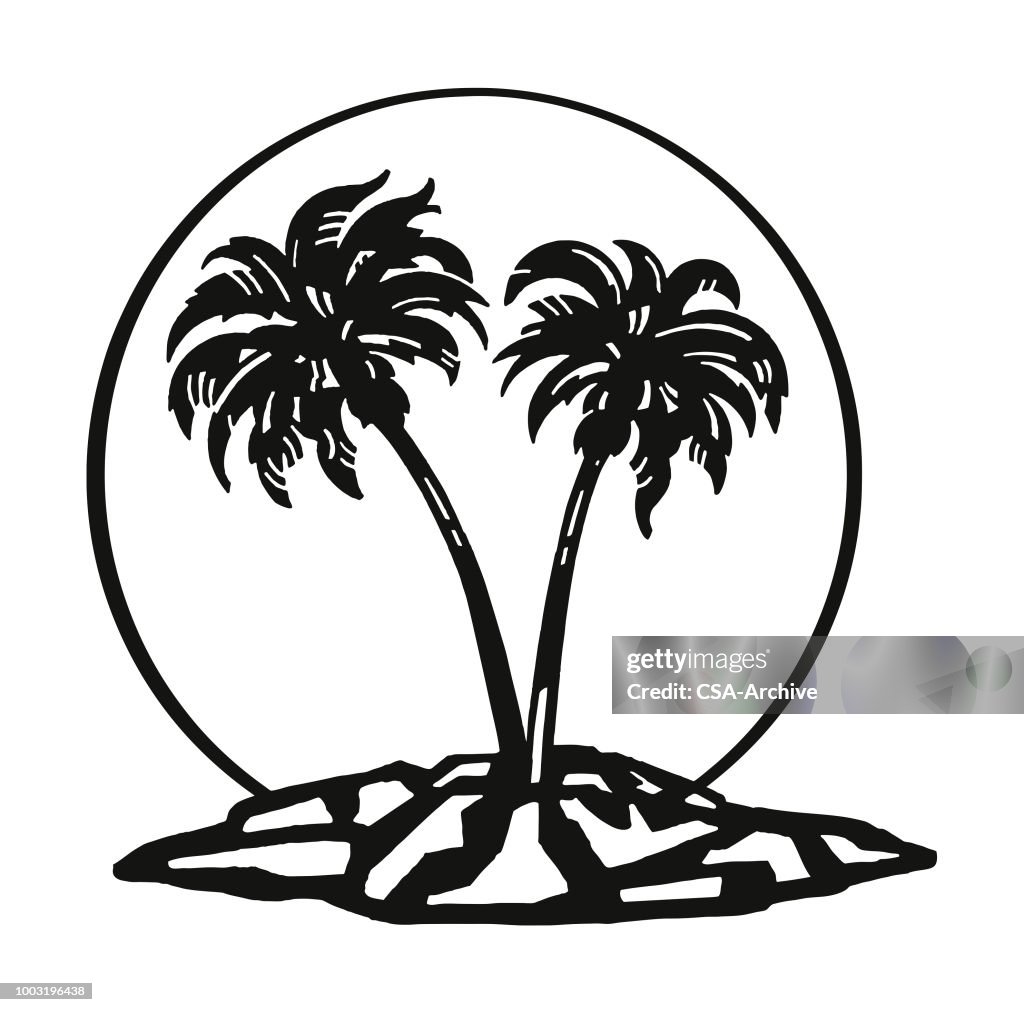Palm Tree Island