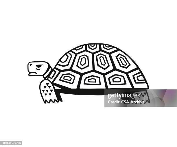 龜 - turtle 幅插畫檔、美工圖案、卡通及圖標