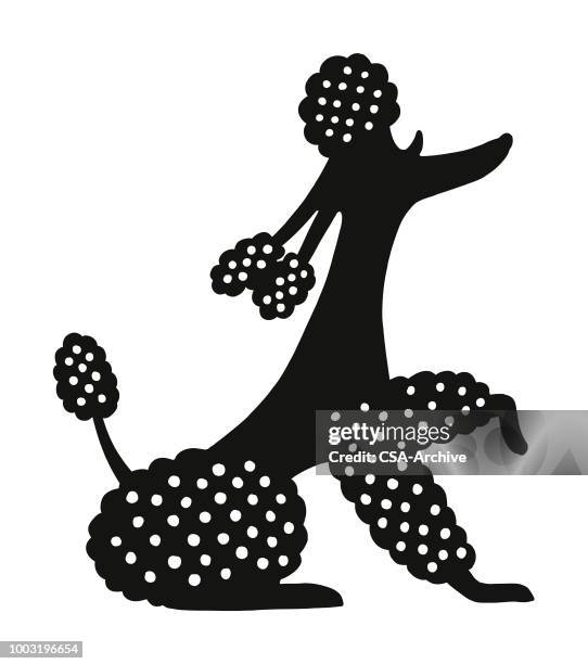 poodle - poodle stock illustrations