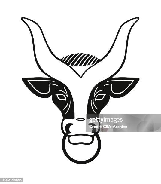 bull with horns and nose ring - nose ring stock illustrations