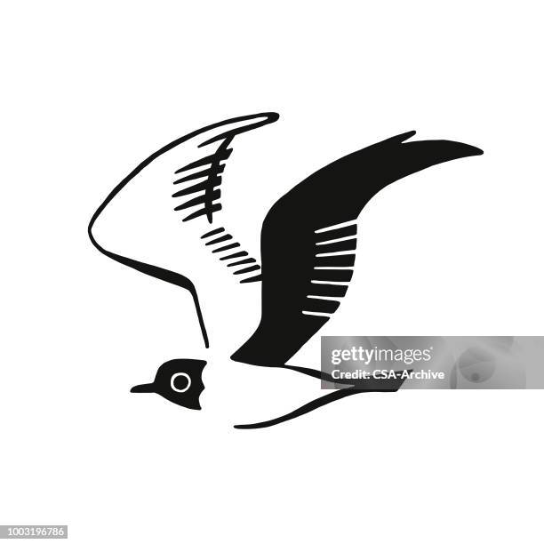 bird - seagull icon stock illustrations