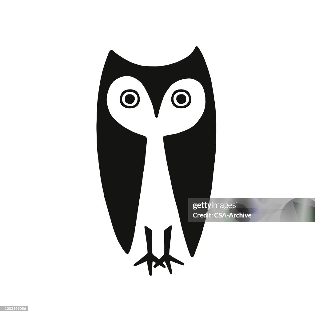 Oul Vector Owl High-Res Vector Graphic - Getty Images