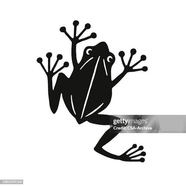 2 0点のfrogイラスト素材 Getty Images 2 0点のfrogイラスト素材 Getty Images