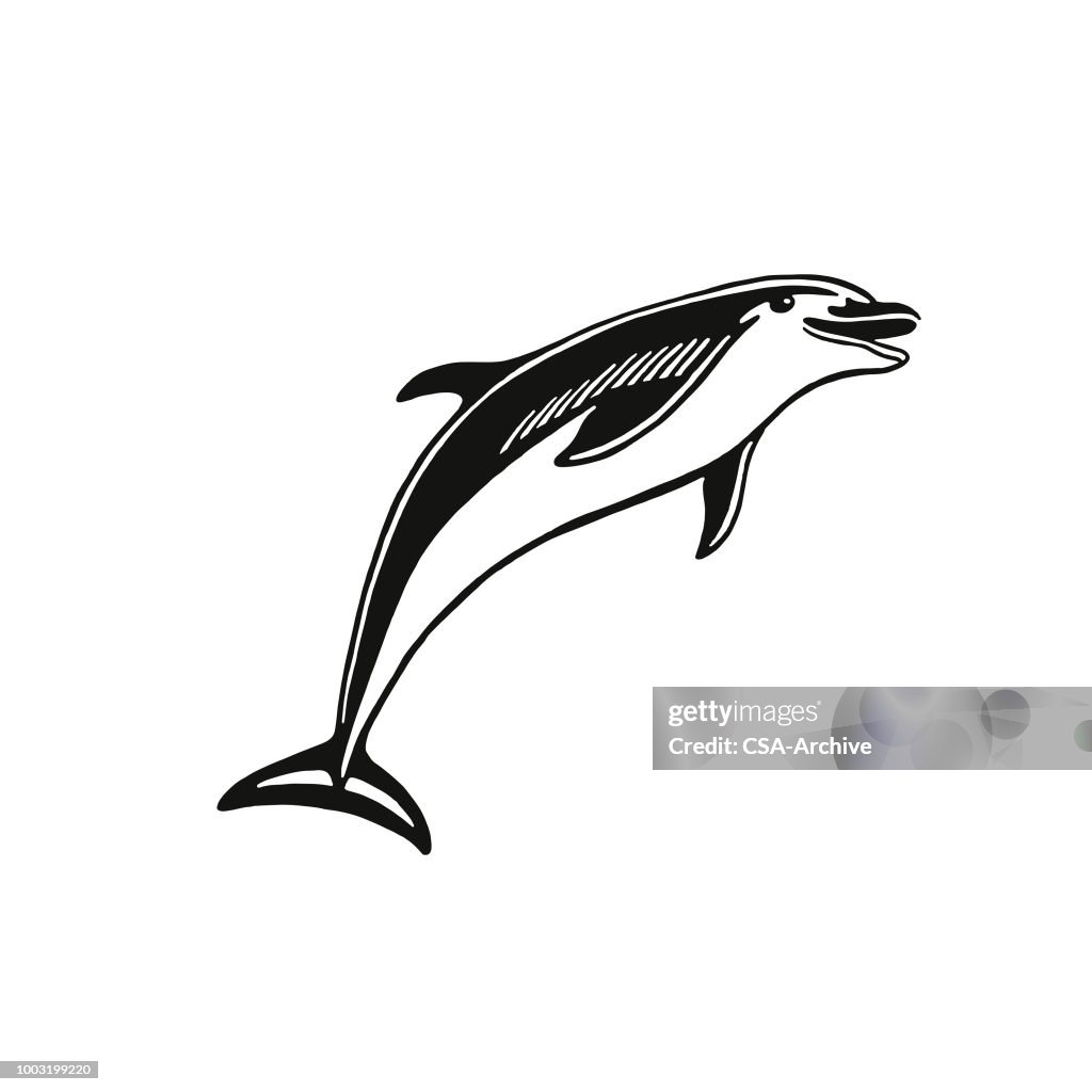 Delfin