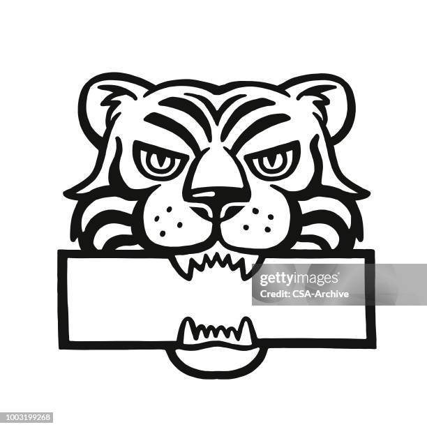 tiger and sign - wildcat mascot stock illustrations