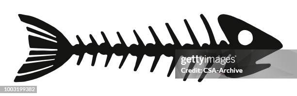 1 581点の魚の骨のストックフォト Getty Images 1 581点の魚の骨のストックフォト Getty Images
