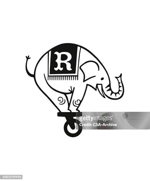 stockillustraties, clipart, cartoons en iconen met olifant balanceren op een wiel - animal trunk