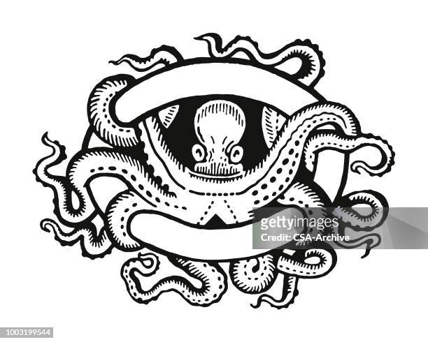 octopus entwined in a banner - tentacle stock illustrations