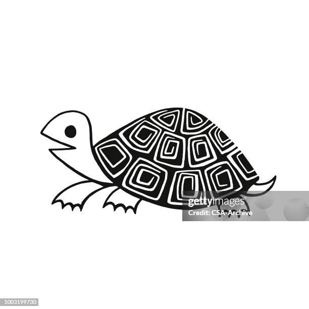 ilustraciones, imágenes clip art, dibujos animados e iconos de stock de la tortuga - turtle