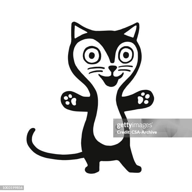 cat - cat tail stock illustrations