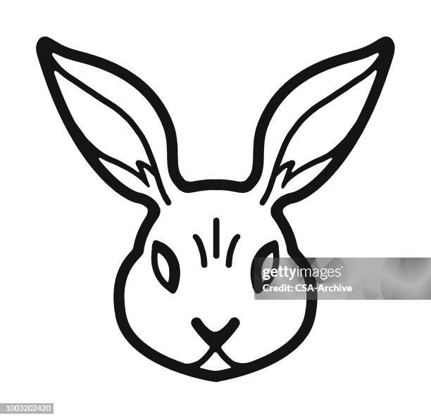 rabbit - animal face stock illustrations