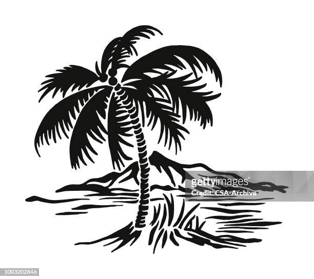 bildbanksillustrationer, clip art samt tecknat material och ikoner med palm tree scen - södra stilla havet