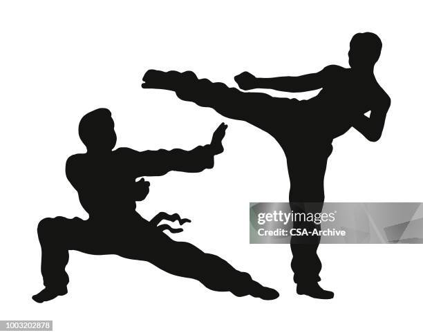 two people practicing karate - karate stock illustrations