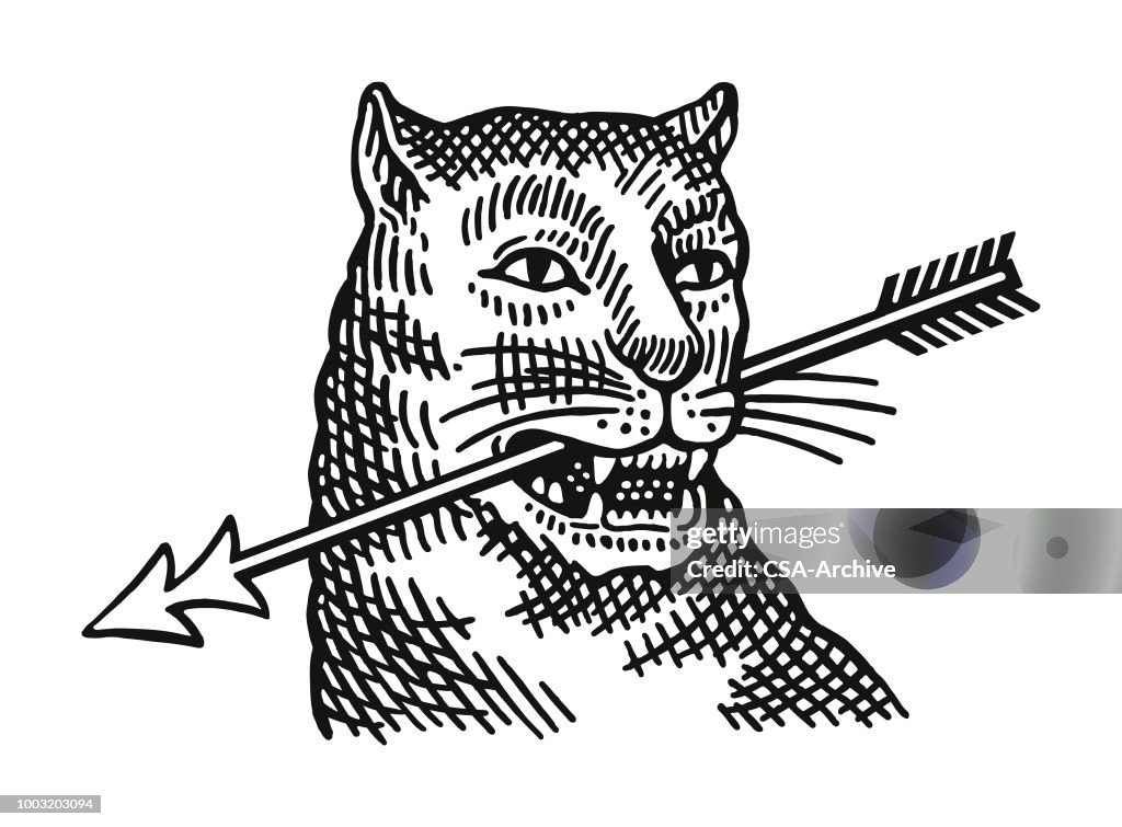 Wildcat met een pijl in zijn bek