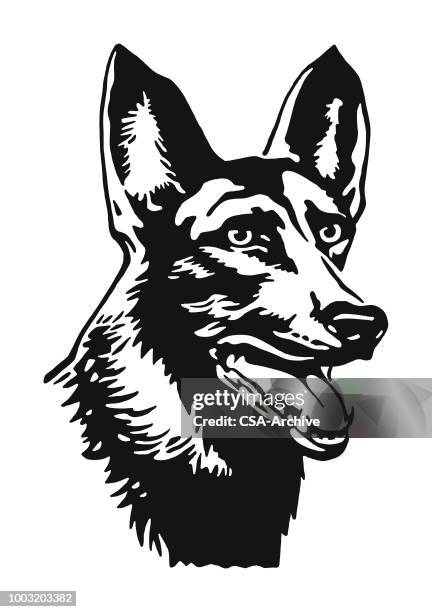 head of a dog - german shepherd stock illustrations