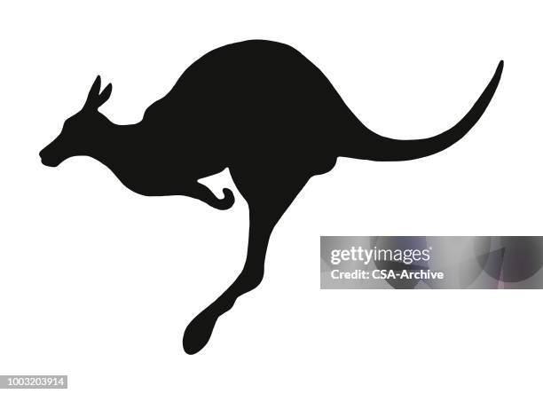 664点のカンガルーイラスト素材 Getty Images 664点のカンガルーイラスト素材 Getty Images
