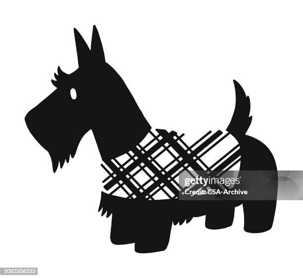 scottish terrier - scottish terrier stock illustrations