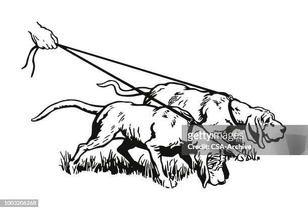 two hound dogs - bloodhound stock illustrations
