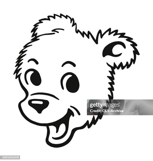 happy bear cub - polar bear face stock illustrations