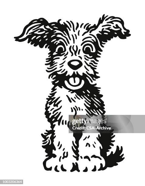 fluffy dog - puppy stock illustrations