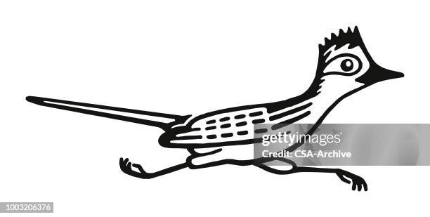 ilustraciones, imágenes clip art, dibujos animados e iconos de stock de correcaminos - correcaminos