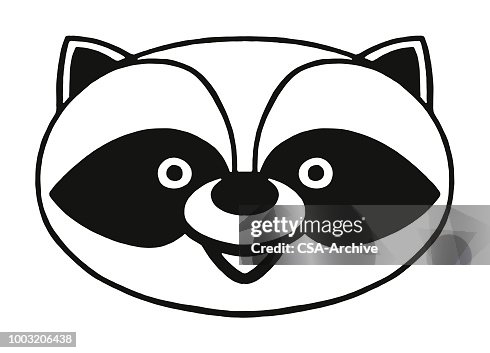 395 Raccoon Face Photos and Premium High Res Pictures - Getty Images 395 Raccoon Face Photos and Premium High Res Pictures - Getty Images