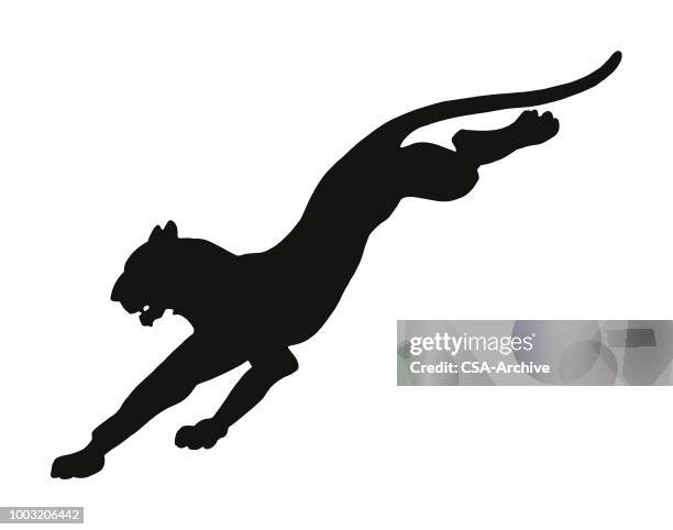stockillustraties, clipart, cartoons en iconen met springende wildcat - poema