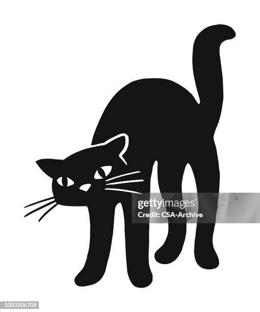 ilustrações, clipart, desenhos animados e ícones de gato preto - azar