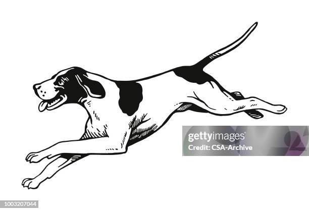 928点の犬 走るイラスト素材 Getty Images 928点の犬 走るイラスト素材 Getty Images