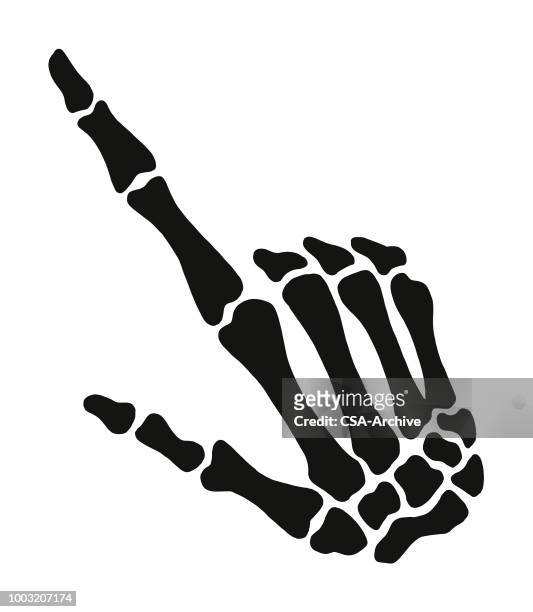 skeleton hand - human skeleton stock illustrations