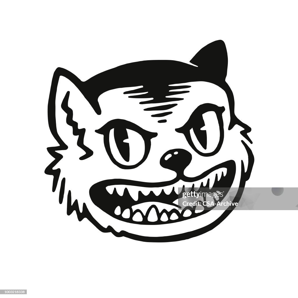 Wildcat