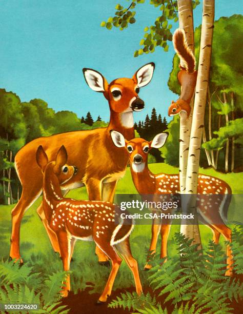 doe and two fawn - birch tree stock illustrations