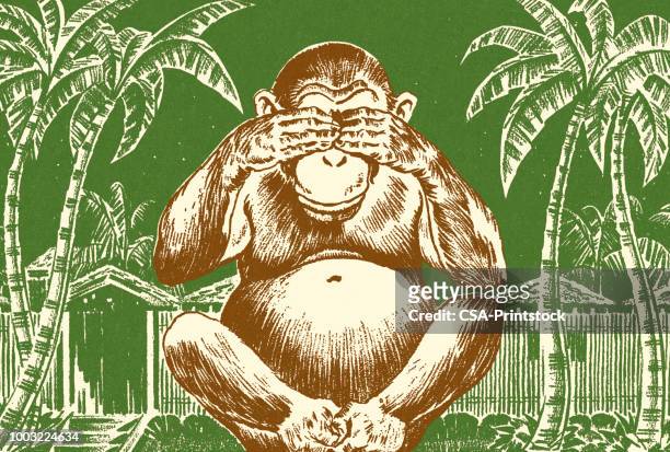 chimpanzee covering its eyes - 3 wise monkeys stock illustrations