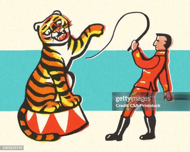 circus tiger and trainer - circus whip stock illustrations