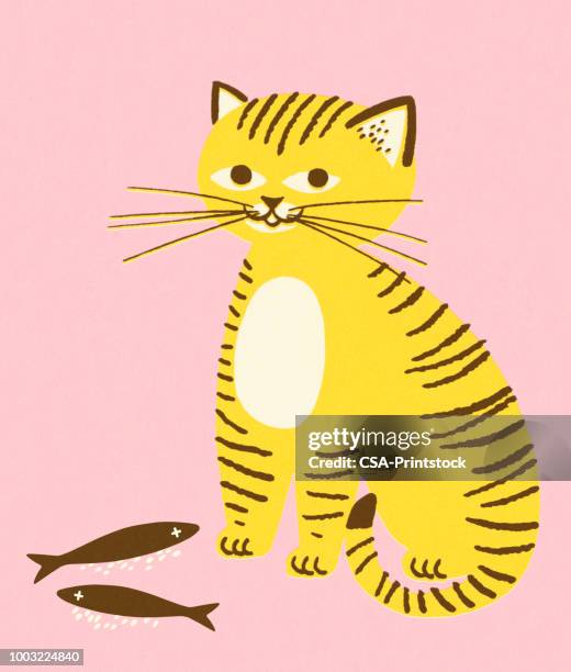 yellow cat and two fish - cute fish stock illustrations