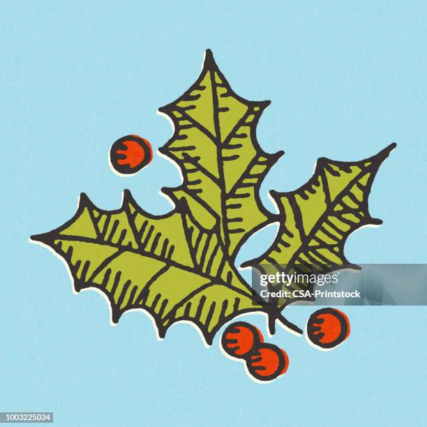 holly leaves and berries - holly stock illustrations