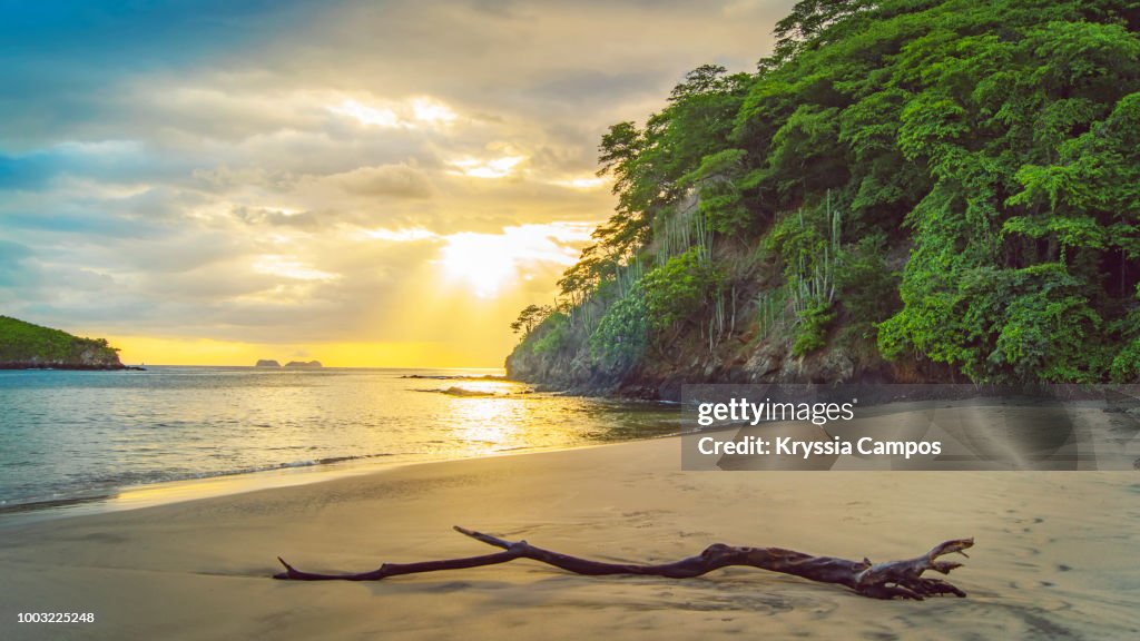 Beach and Jungle at Sunset in Costa Rica