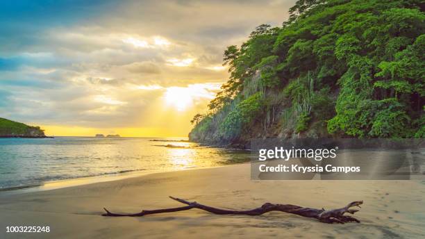 beach and jungle at sunset in costa rica - guanacaste beach stock pictures, royalty-free photos & images