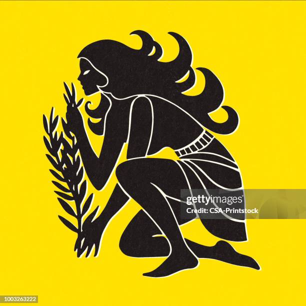 virgo - virgo stock illustrations