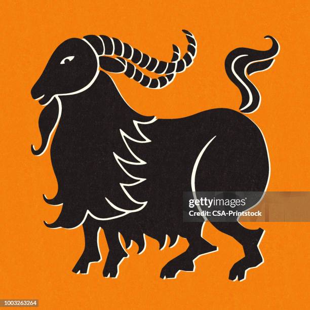 161 Capricorn Animal Sign Photos and Premium High Res Pictures - Getty Images 161 Capricorn Animal Sign Photos and Premium High Res Pictures - Getty Images
