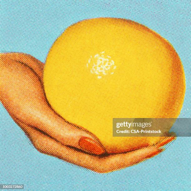 woman's hand holding a grapefruit - grapefruit diet stock illustrations